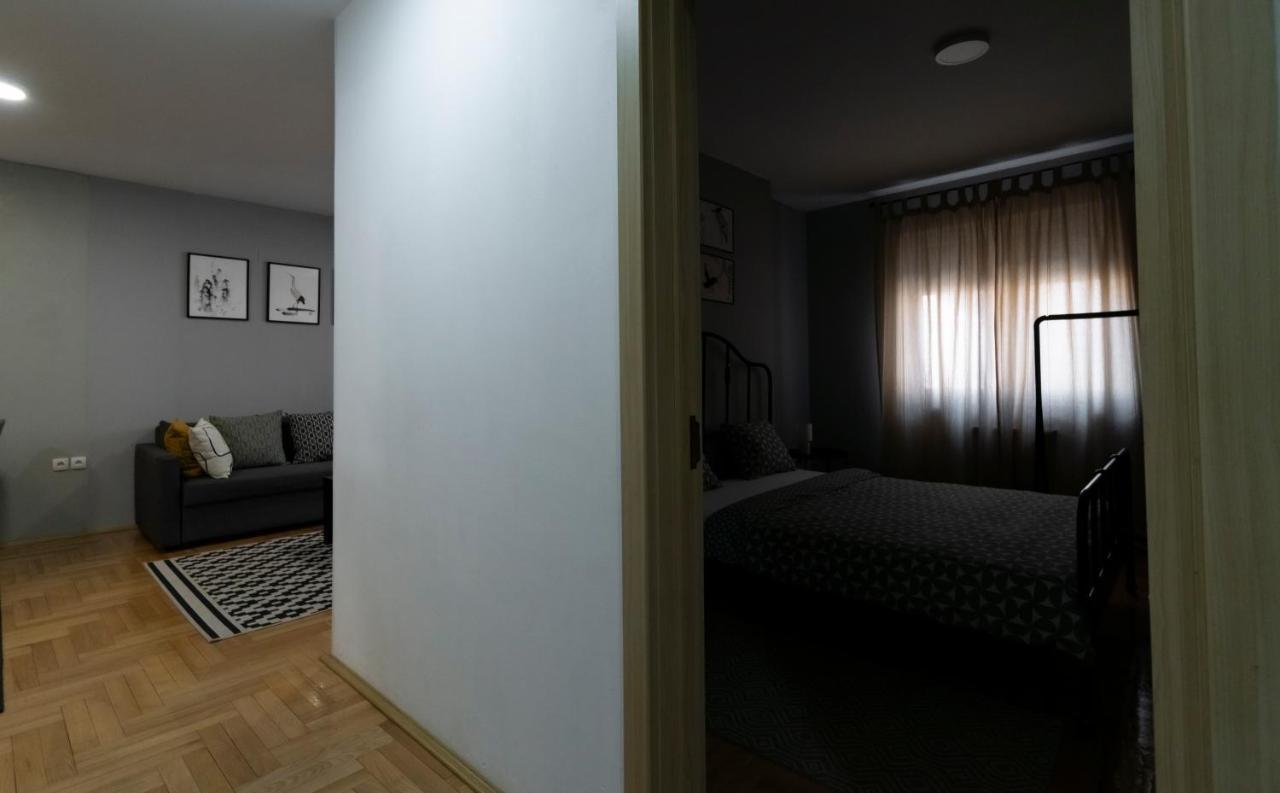 Central Fenix Apartment - Free Private Parking-Fast Wi-Fi Novi Sad Bagian luar foto