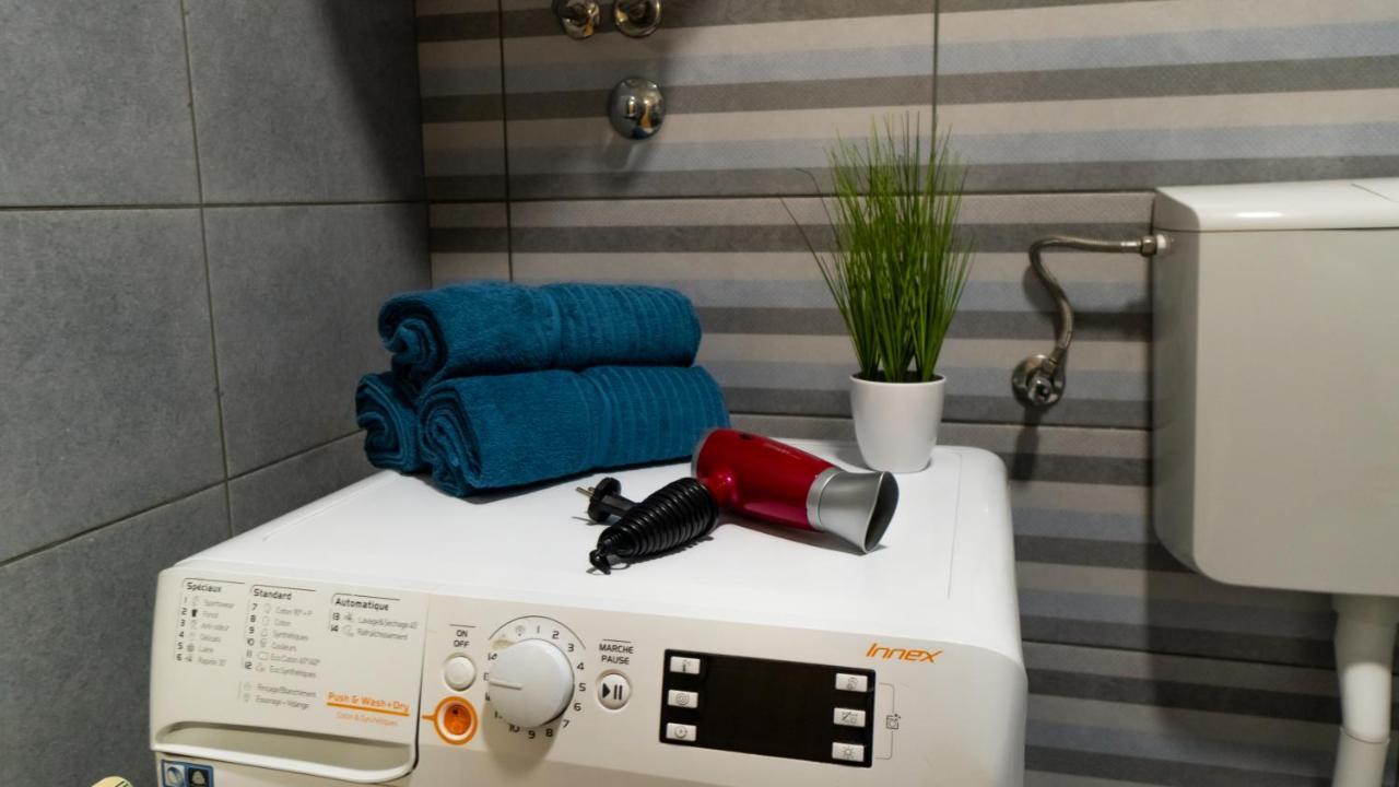 Central Fenix Apartment - Free Private Parking-Fast Wi-Fi Novi Sad Bagian luar foto